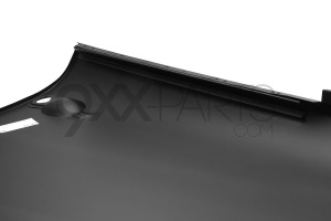 Door Skin Right 3
