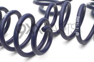 Lowering Spring Set 2