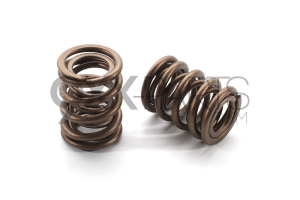 Valve Spring Set 2