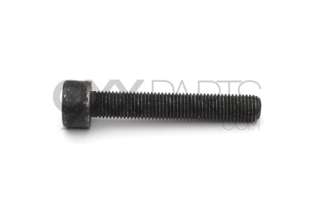 Brake Caliper Bolt