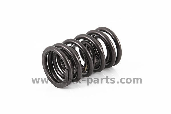 Valve Spring 90110590151