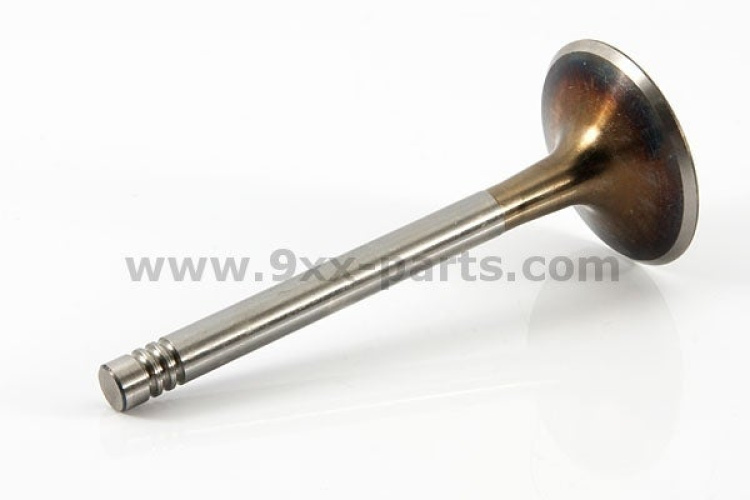 Intake Valve 92810564105