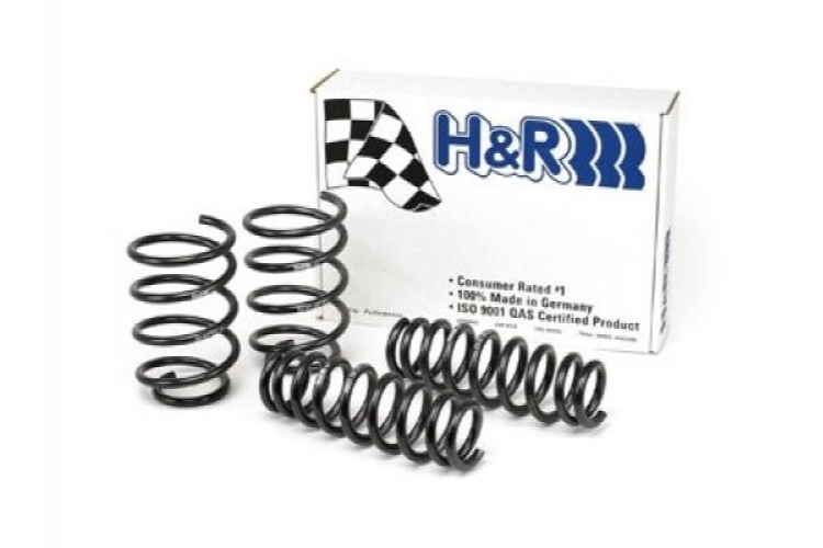 Lowering Spring Set 298131