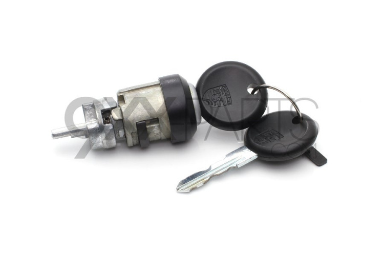 Ignition Lock Cylinder with Keys 477905855C