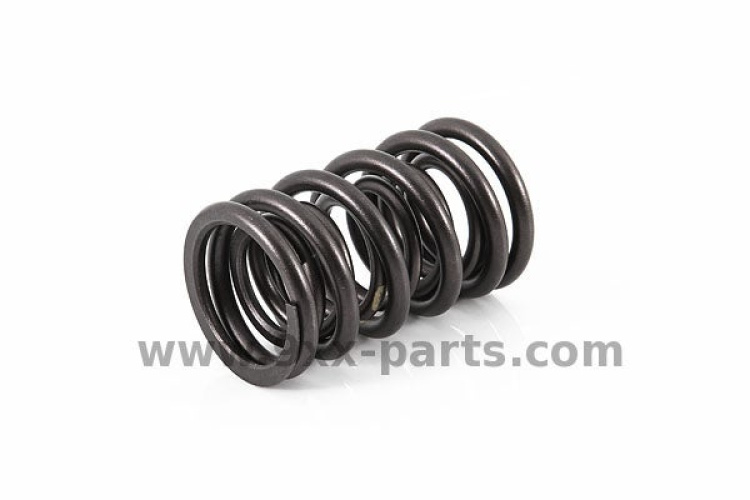 Valve Spring 90110590151